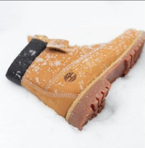 Timberland Premium 6-Inch Waterproof Boo